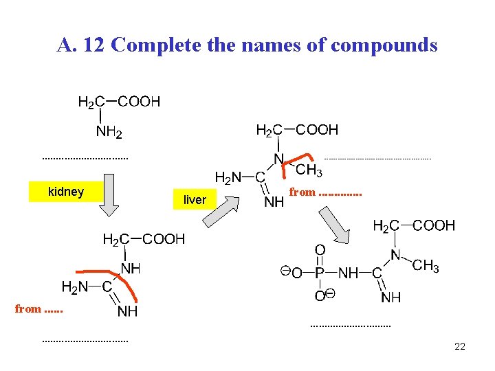 A. 12 Complete the names of compounds . . . . kidney from. .