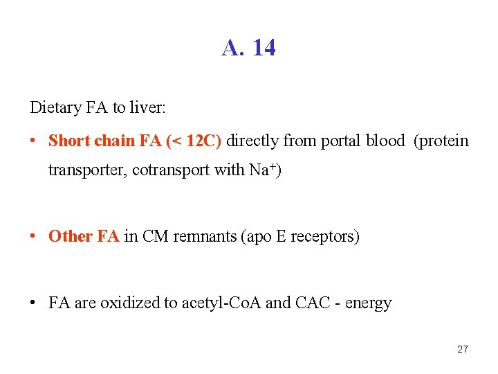 A. 14 Dietary FA to liver: • Short chain FA (< 12 C) directly