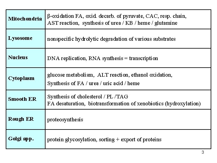 Mitochondria β-oxidation FA, oxid. decarb. of pyruvate, CAC, resp. chain, AST reaction, synthesis of