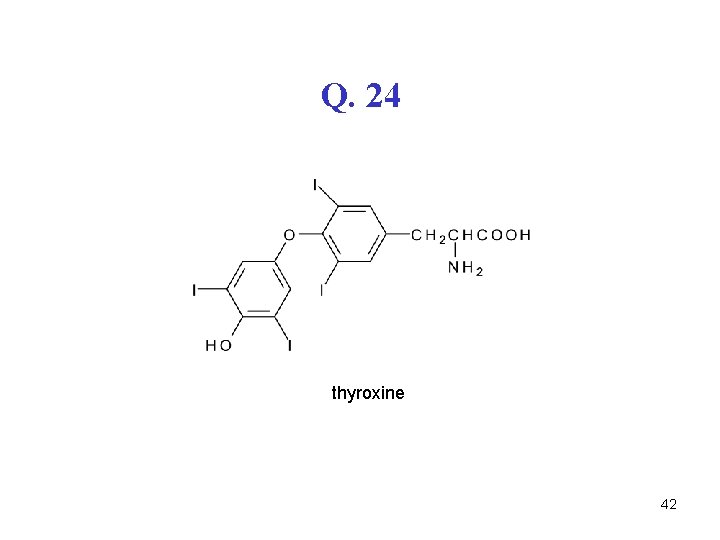 Q. 24 thyroxine 42 