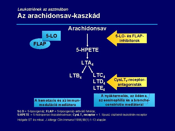 Leukotriének az asztmában Az arachidonsav-kaszkád Arachidonsav 5 -LO- és FLAPinhibitorok FLAP 5 -HPETE LTA Leukotriének az asztmában Az arachidonsav-kaszkád Arachidonsav 5 -LO- és FLAPinhibitorok FLAP 5 -HPETE LTA