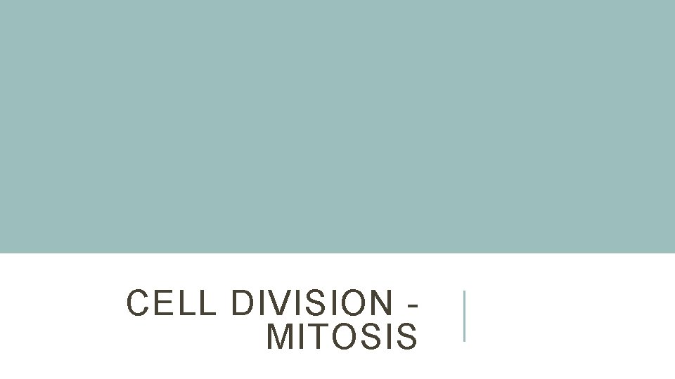 CELL DIVISION - MITOSIS 