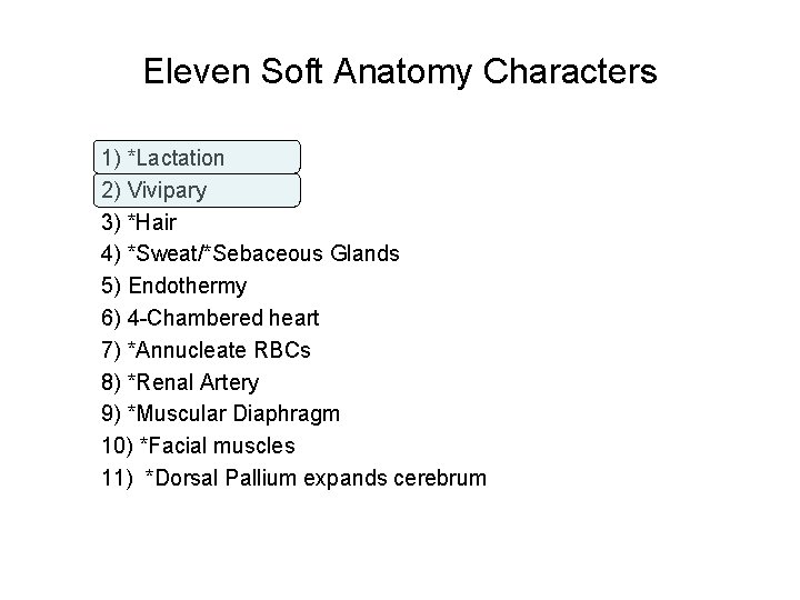 Eleven Soft Anatomy Characters 1) *Lactation 2) Vivipary 3) *Hair 4) *Sweat/*Sebaceous Glands 5)