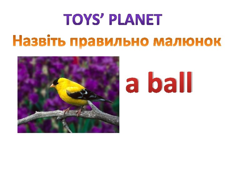a ball 