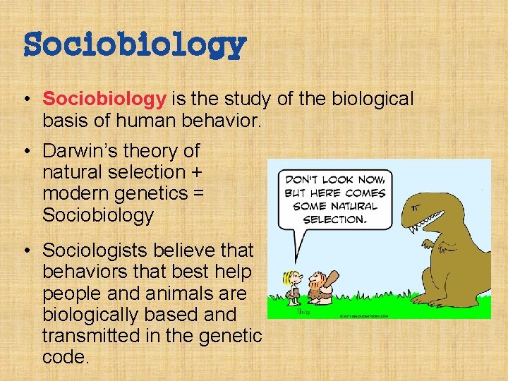 Sociobiology • Sociobiology is the study of the biological basis of human behavior. •