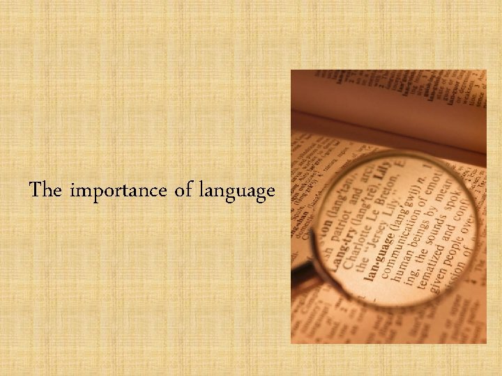 The importance of language 