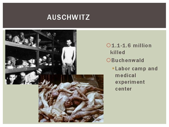 AUSCHWITZ 1. 1 -1. 6 million killed Buchenwald § Labor camp and medical experiment