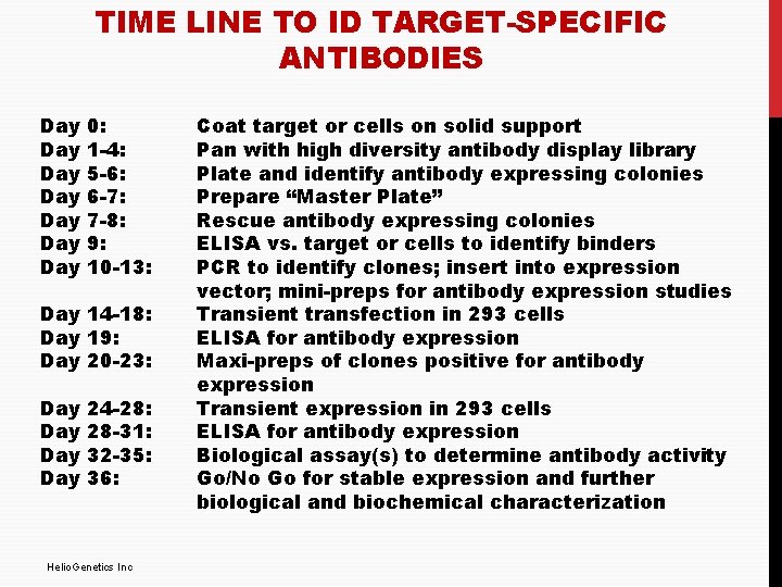 TIME LINE TO ID TARGET-SPECIFIC ANTIBODIES Day Day 0: 1 -4: 5 -6: 6