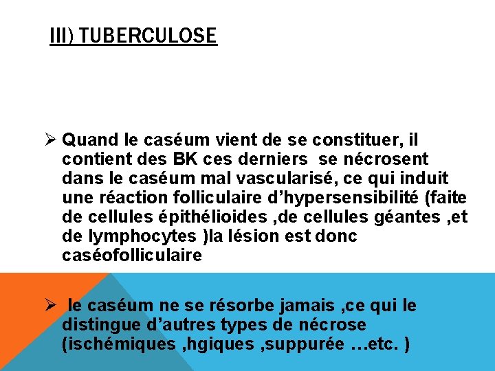 III) TUBERCULOSE Ø Quand le caséum vient de se constituer, il contient des BK