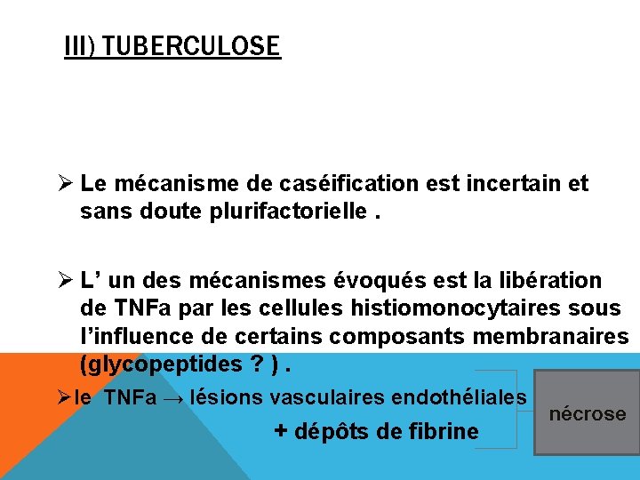 III) TUBERCULOSE Ø Le mécanisme de caséification est incertain et sans doute plurifactorielle. Ø