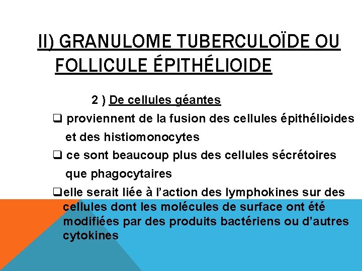 II) GRANULOME TUBERCULOÏDE OU FOLLICULE ÉPITHÉLIOIDE 2 ) De cellules géantes q proviennent de