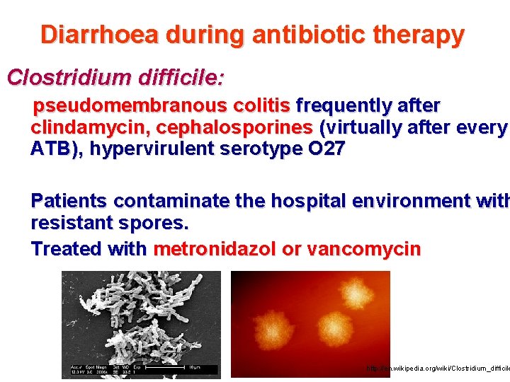 Diarrhoea during antibiotic therapy Clostridium difficile: pseudomembranous colitis frequently after clindamycin, cephalosporines (virtually after