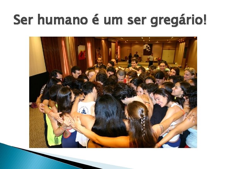 Ser humano é um ser gregário! 