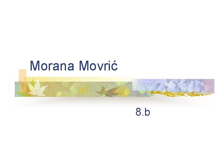 Morana Movrić 8. b 
