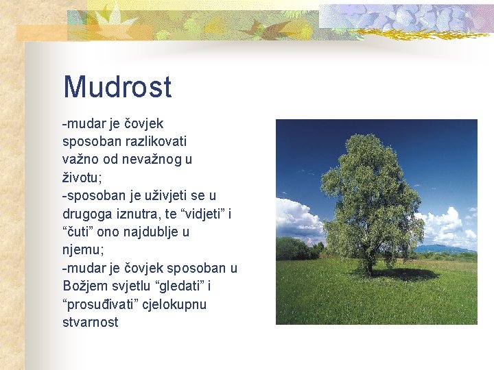 Mudrost -mudar je čovjek sposoban razlikovati važno od nevažnog u životu; -sposoban je uživjeti