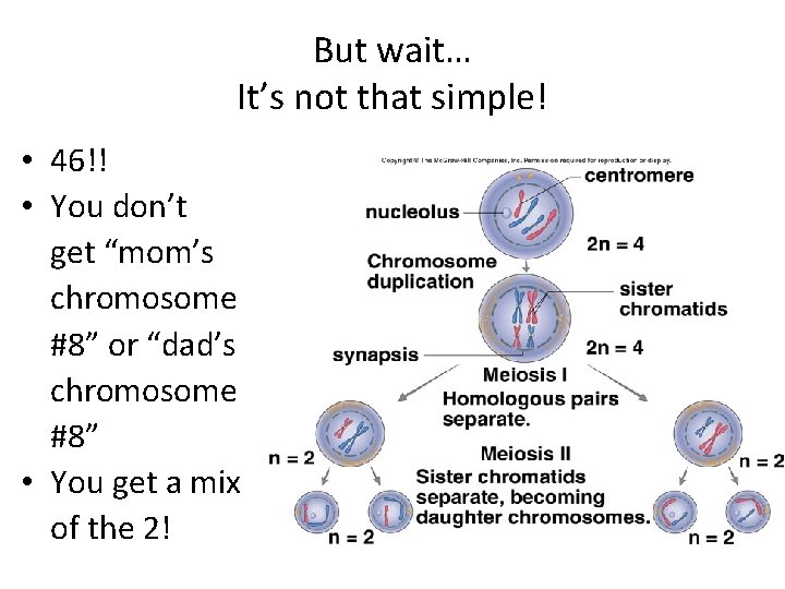 But wait… It’s not that simple! • 46!! • You don’t get “mom’s chromosome