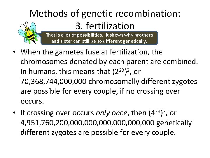 Methods of genetic recombination: 3. fertilization That is a lot of possibilities. It shows