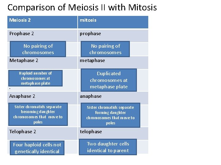 Comparison of Meiosis II with Mitosis Meiosis 2 mitosis Prophase 2 prophase No pairing