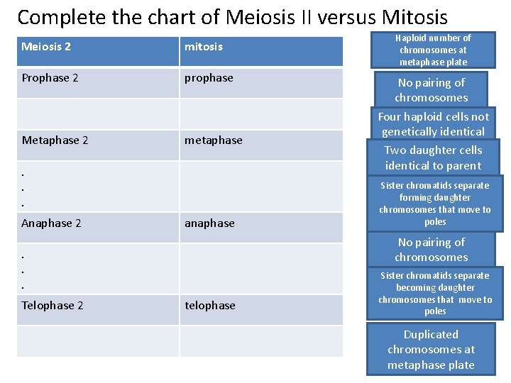 Complete the chart of Meiosis II versus Mitosis Meiosis 2 mitosis Prophase 2 prophase