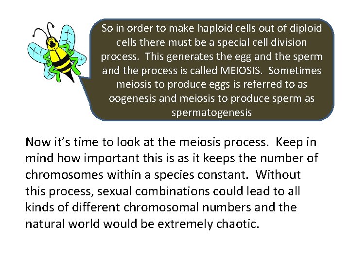 So in order to make haploid cells out of diploid cells there must be