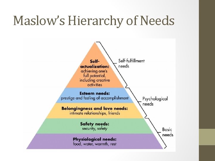 Maslow’s Hierarchy of Needs 