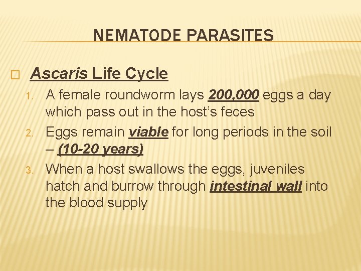 NEMATODE PARASITES � Ascaris Life Cycle 1. 2. 3. A female roundworm lays 200,