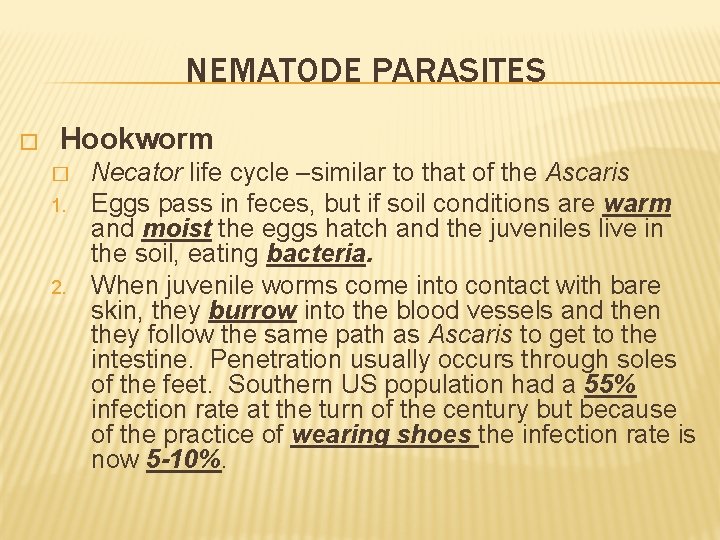 NEMATODE PARASITES � Hookworm � 1. 2. Necator life cycle –similar to that of
