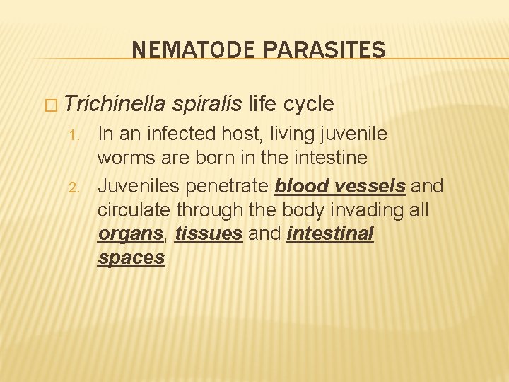 NEMATODE PARASITES � Trichinella 1. 2. spiralis life cycle In an infected host, living