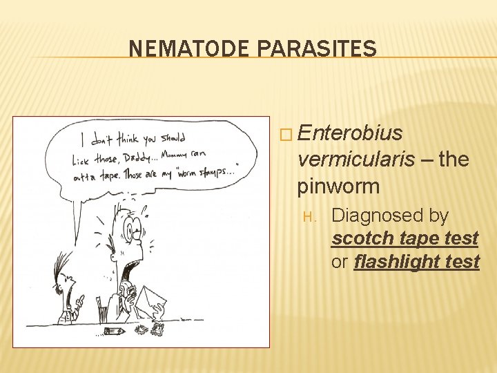 NEMATODE PARASITES � Enterobius vermicularis – the pinworm H. Diagnosed by scotch tape test