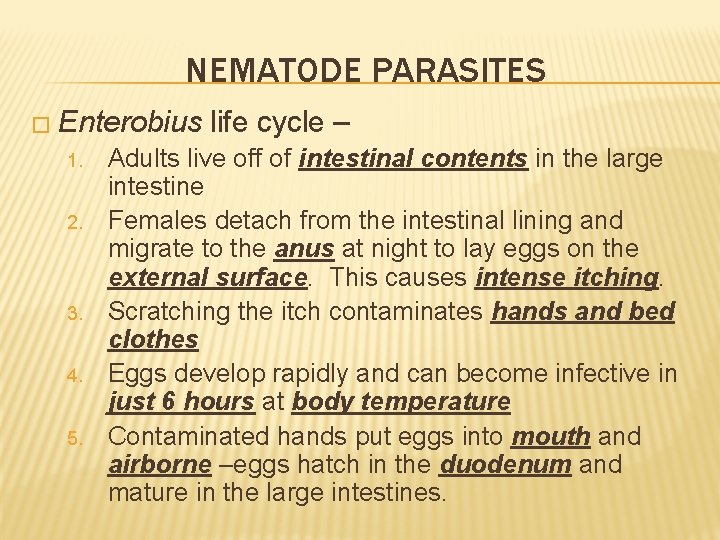 NEMATODE PARASITES � Enterobius 1. 2. 3. 4. 5. life cycle – Adults live