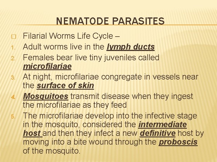 NEMATODE PARASITES � 1. 2. 3. 4. 5. Filarial Worms Life Cycle – Adult