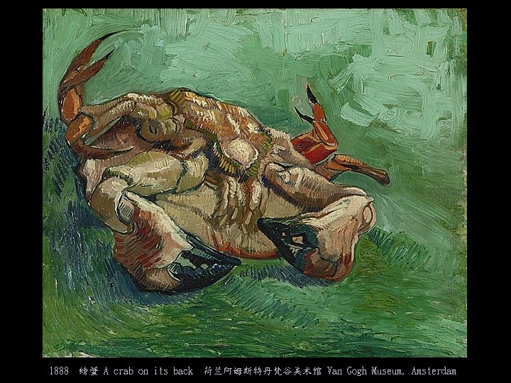 1888 螃蟹 A crab on its back 荷兰阿姆斯特丹梵谷美术馆 Van Gogh Museum, Amsterdam 