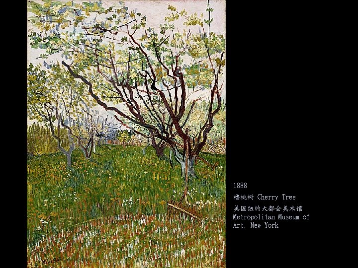 1888 樱桃树 Cherry Tree 美国纽约大都会美术馆 Metropolitan Museum of Art, New York 