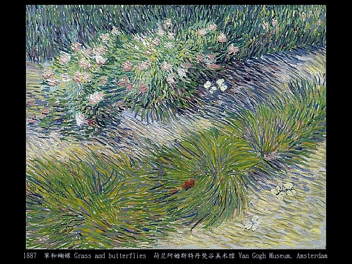 1887 草和蝴蝶 Grass and butterflies 荷兰阿姆斯特丹梵谷美术馆 Van Gogh Museum, Amsterdam 