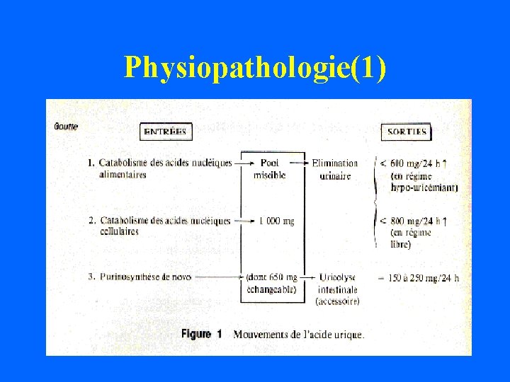 Physiopathologie(1) 