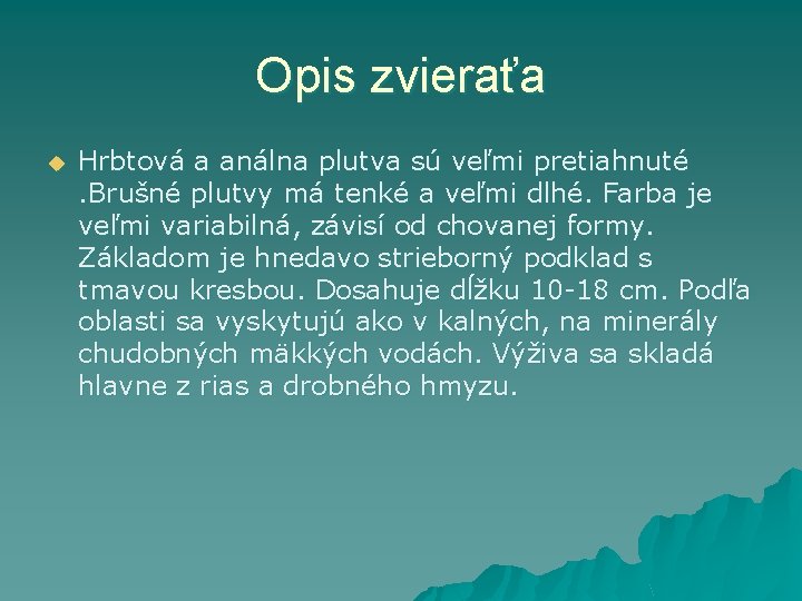 Opis zvieraťa u Hrbtová a análna plutva sú veľmi pretiahnuté . Brušné plutvy má