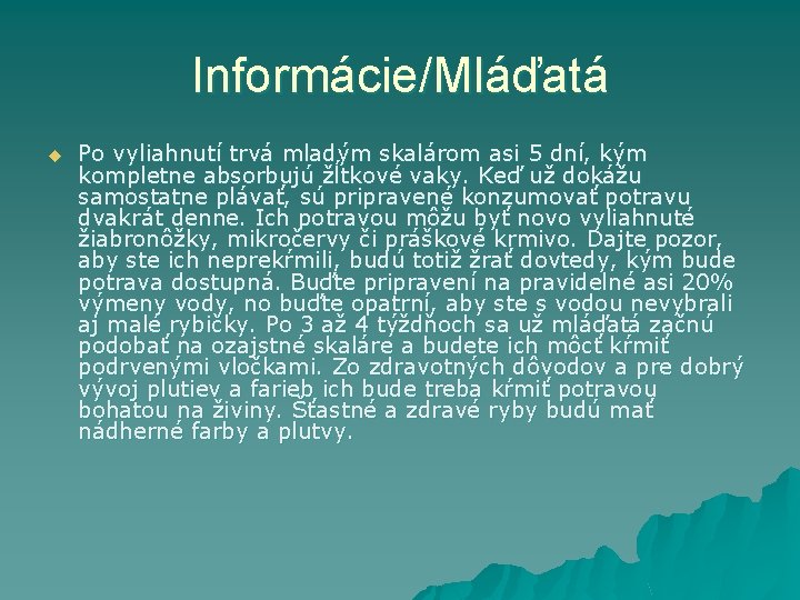 Informácie/Mláďatá u Po vyliahnutí trvá mladým skalárom asi 5 dní, kým kompletne absorbujú žĺtkové
