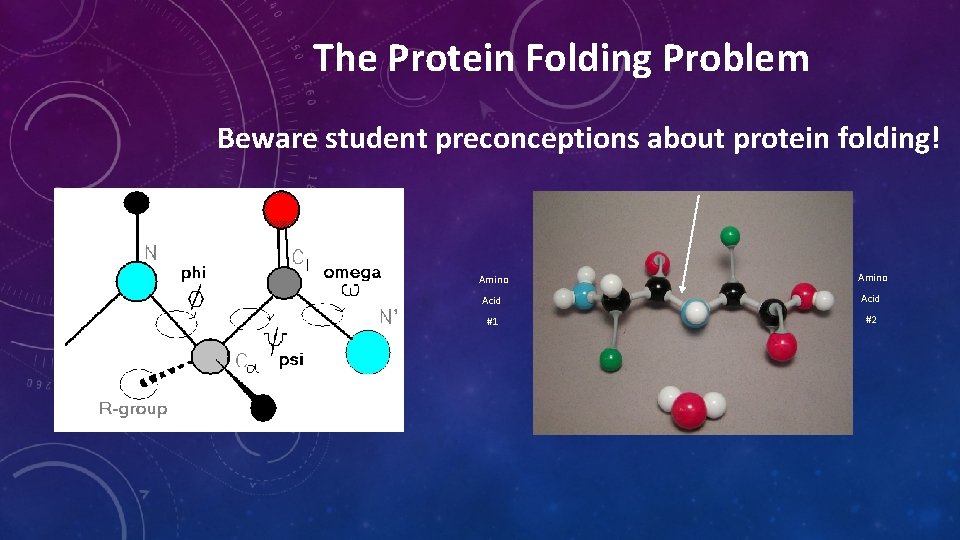 The Protein Folding Problem Beware student preconceptions about protein folding! Amino Acid #1 #2 The Protein Folding Problem Beware student preconceptions about protein folding! Amino Acid #1 #2