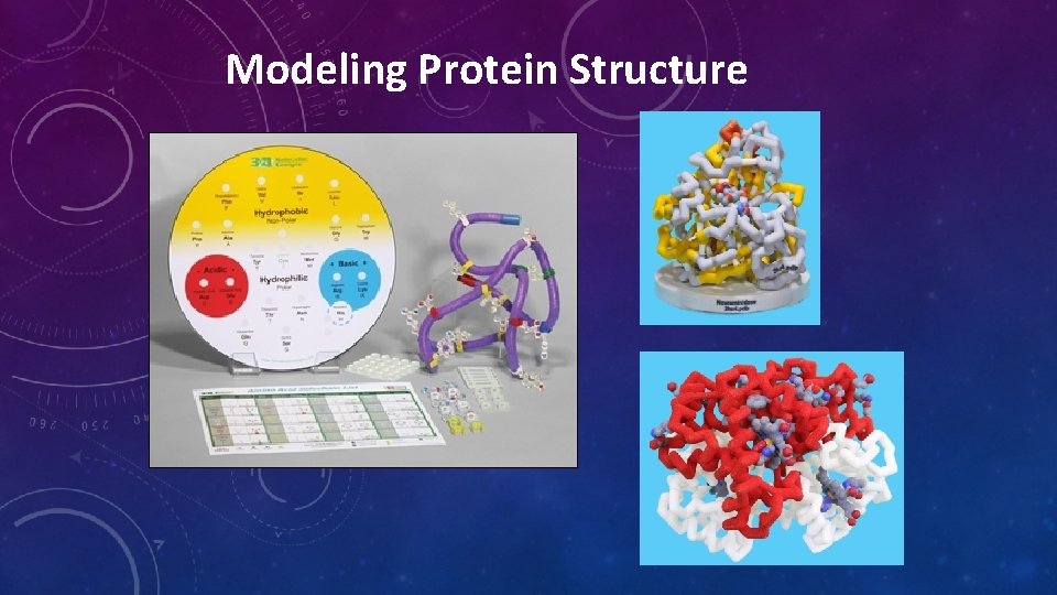 Modeling Protein Structure Modeling Protein Structure