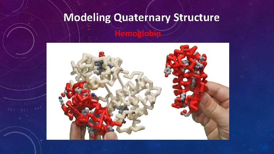 Modeling Quaternary Structure Hemoglobin Modeling Quaternary Structure Hemoglobin