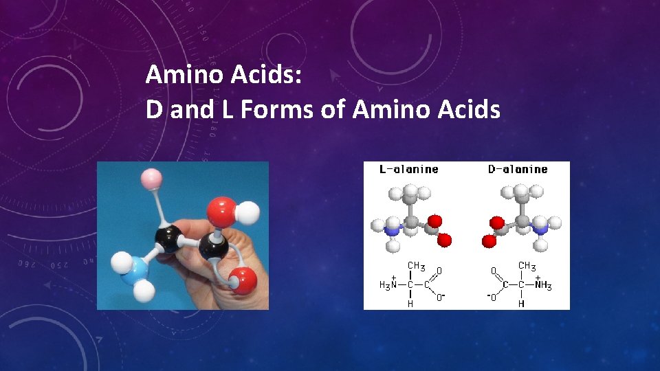 Amino Acids: D and L Forms of Amino Acids Amino Acids: D and L Forms of Amino Acids
