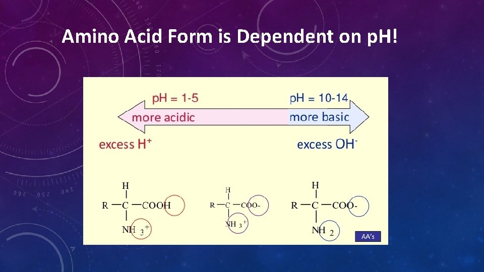 Amino Acid Form is Dependent on p. H! Amino Acid Form is Dependent on p. H!