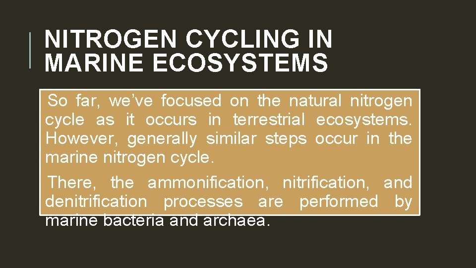 NITROGEN CYCLING IN MARINE ECOSYSTEMS So far, we’ve focused on the natural nitrogen cycle