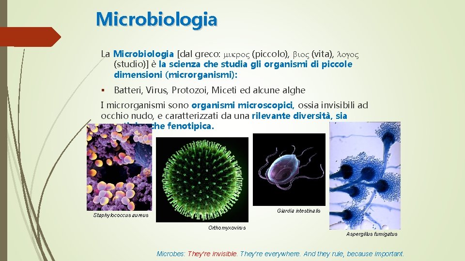 Microbiologia La Microbiologia [dal greco: (piccolo), (vita), (studio)] è la scienza che studia gli