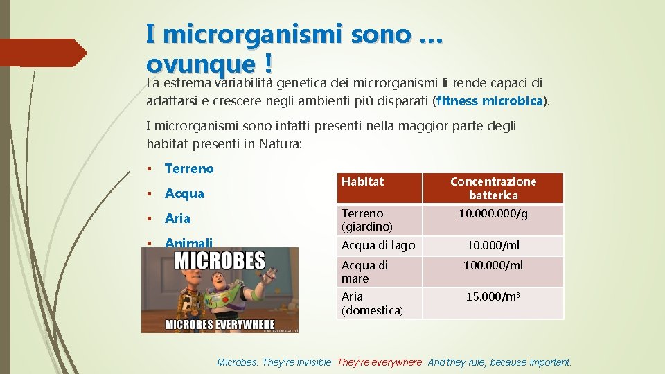 I microrganismi sono … ovunque ! La estrema variabilità genetica dei microrganismi li rende