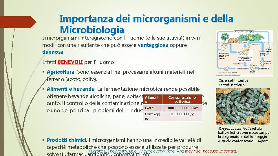 Importanza dei microrganismi e della Microbiologia I microrganismi interagiscono con l’uomo (e le sue