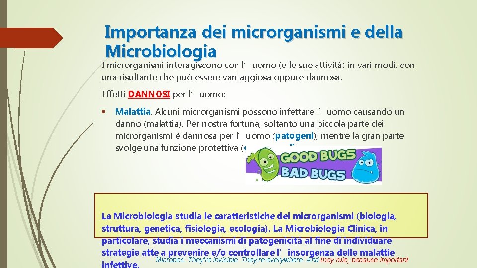 Importanza dei microrganismi e della Microbiologia I microrganismi interagiscono con l’uomo (e le sue