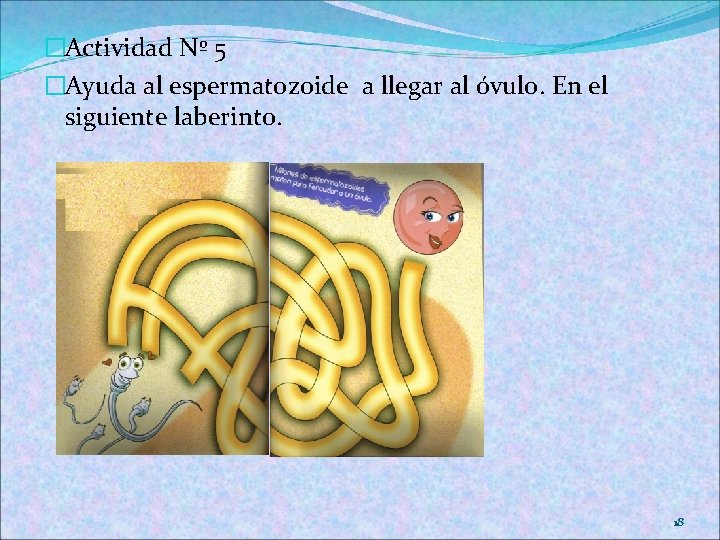 �Actividad Nº 5 �Ayuda al espermatozoide a llegar al óvulo. En el siguiente laberinto.