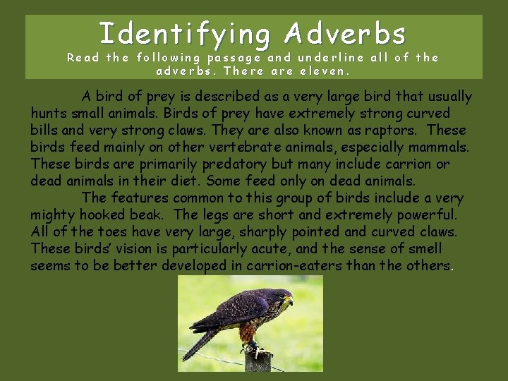 Identifying Adverbs Read the following passage and underline all of the adverbs. There are