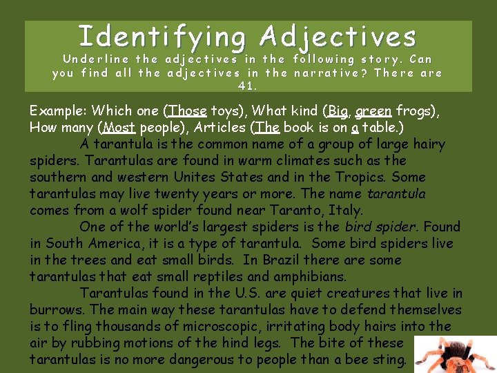 Identifying Adjectives Underline the adjectives in the following story. Can you find all the